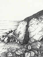 Cornish Cliff