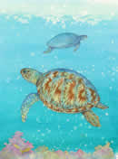 Turtle Dream
